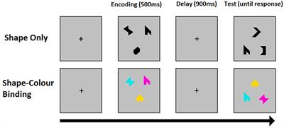 Abnormal Functional Hierarchies of EEG Networks in Familial and Sporadic Prodromal Alzheimer's Disease During Visual Short-Term Memory Binding